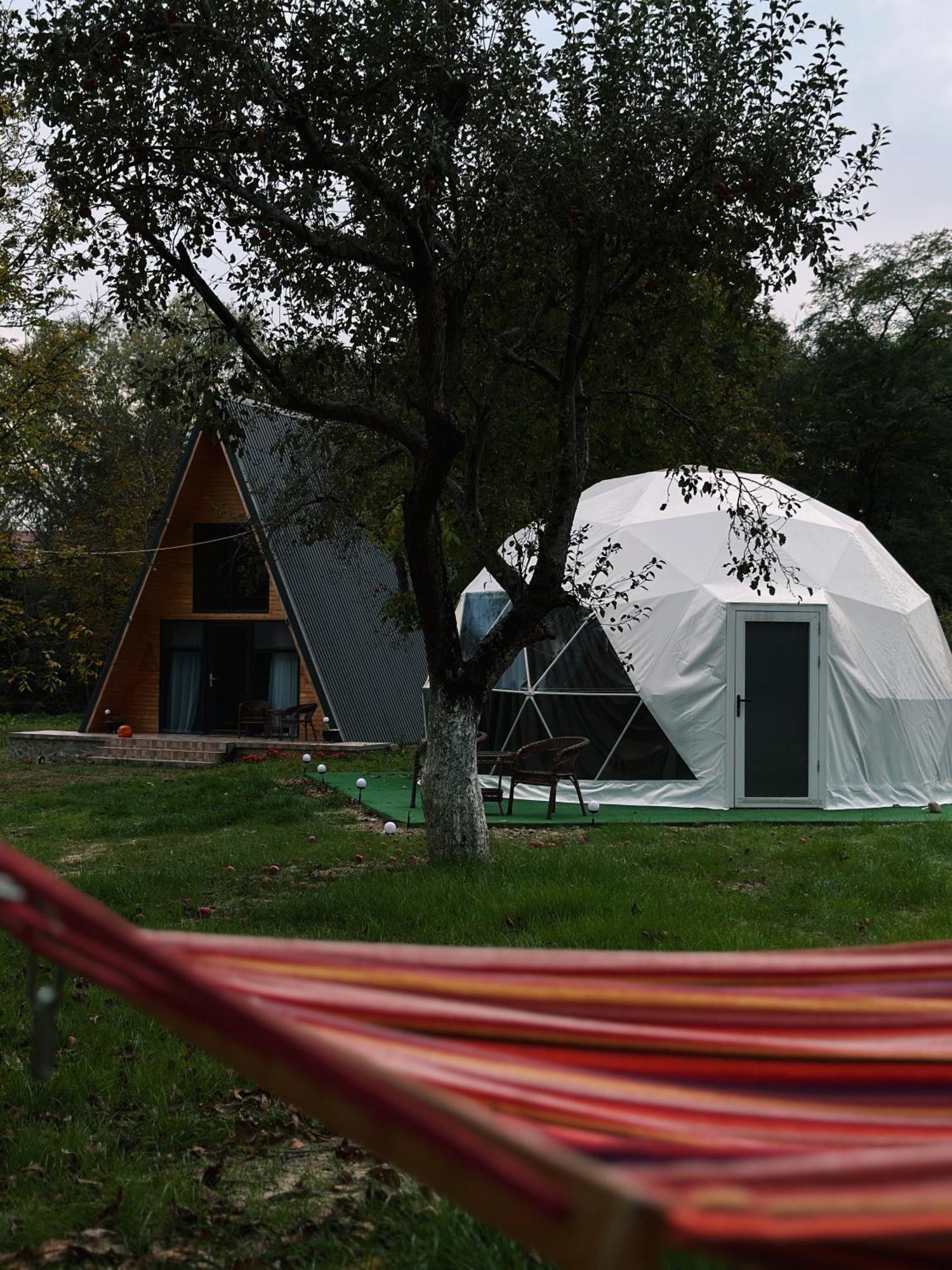 Hotel The Frog Glamping Horezu Esterno foto