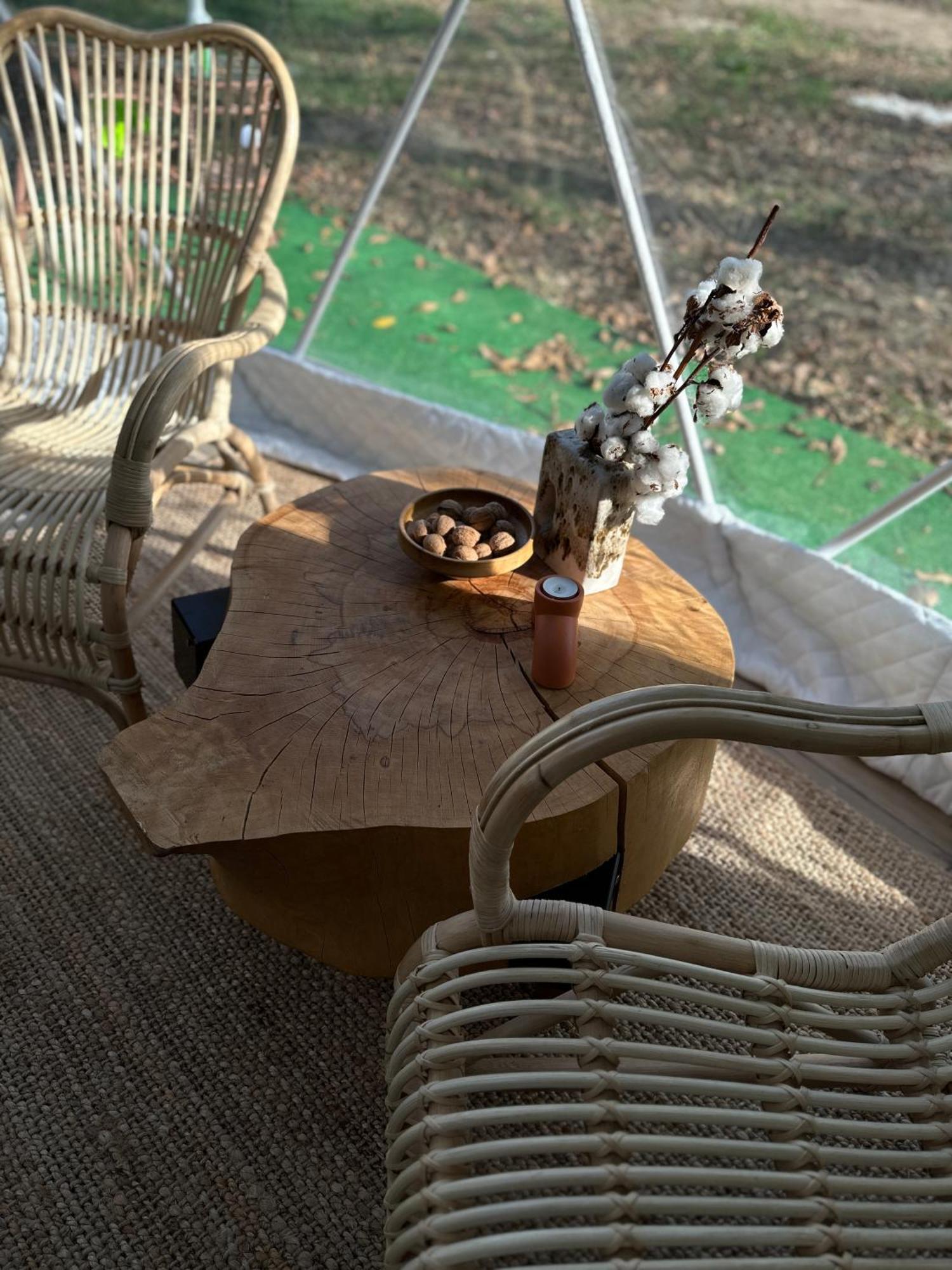 Hotel The Frog Glamping Horezu Esterno foto