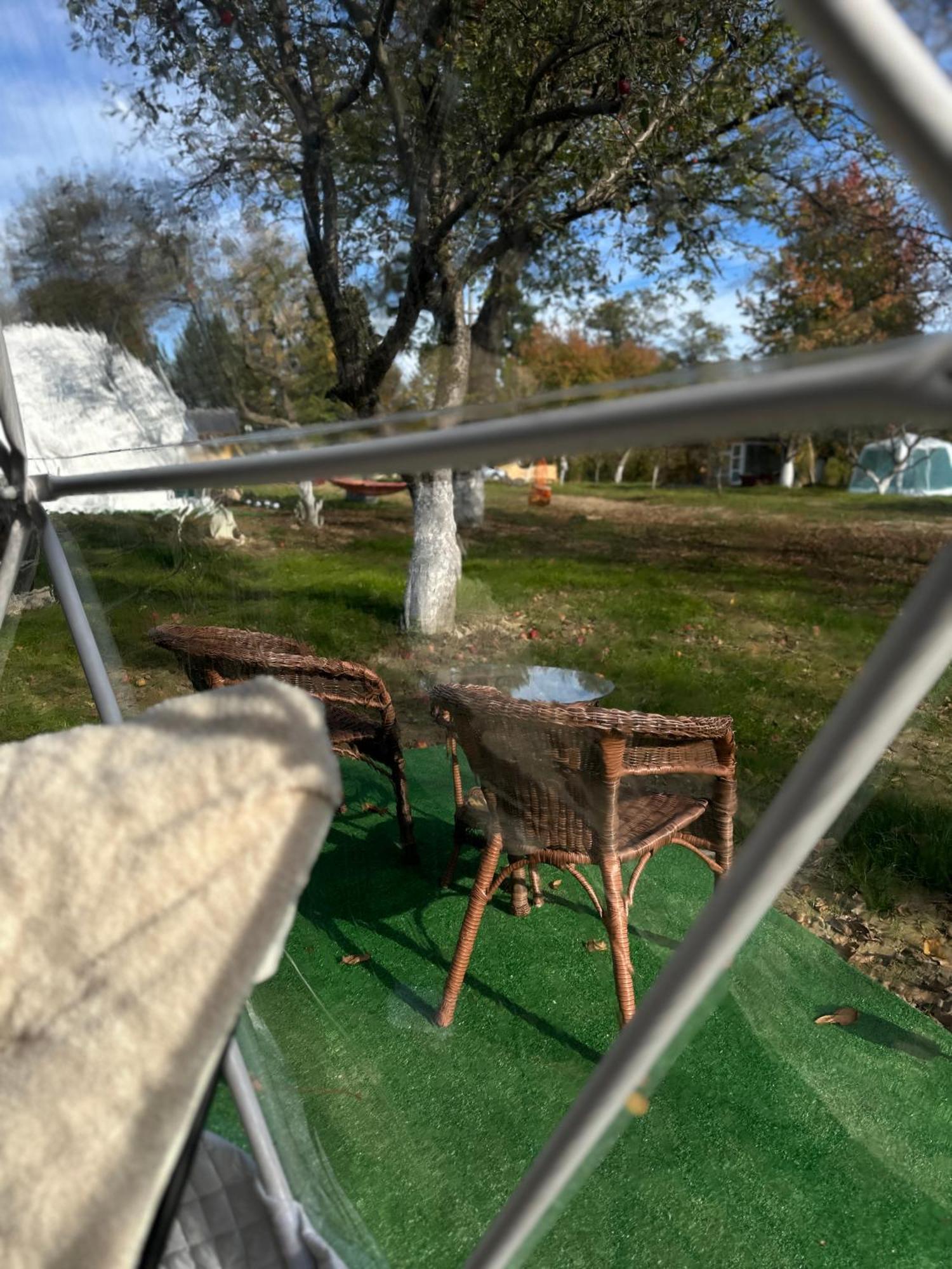 Hotel The Frog Glamping Horezu Esterno foto