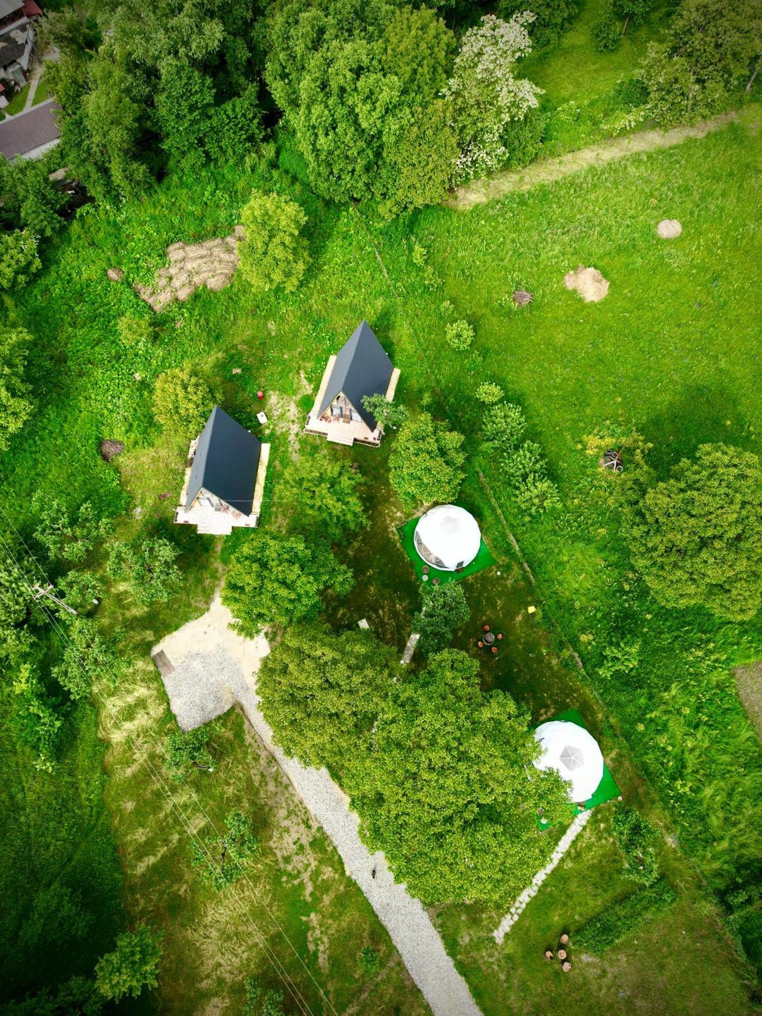 Hotel The Frog Glamping Horezu Esterno foto
