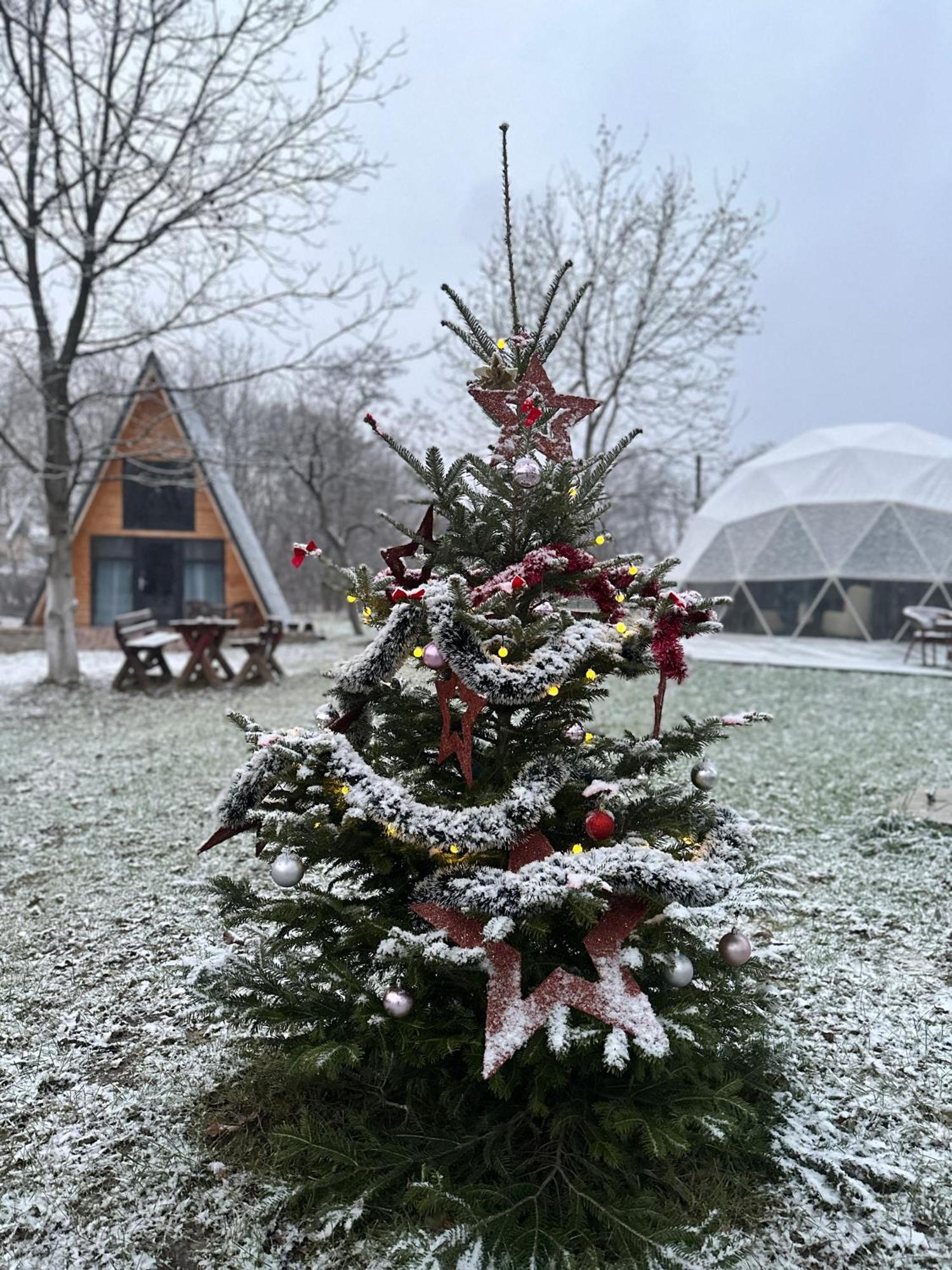 Hotel The Frog Glamping Horezu Esterno foto