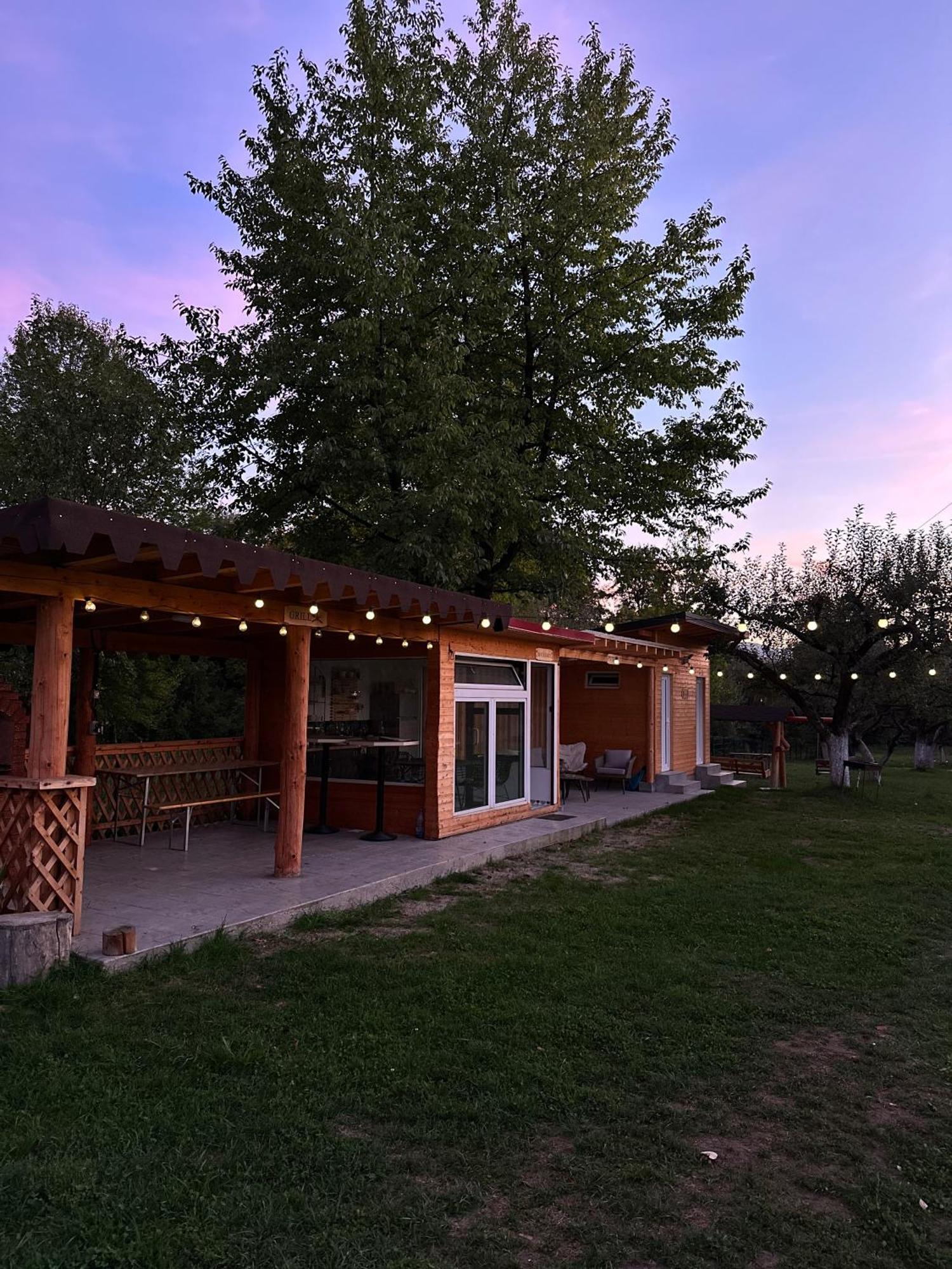 Hotel The Frog Glamping Horezu Esterno foto