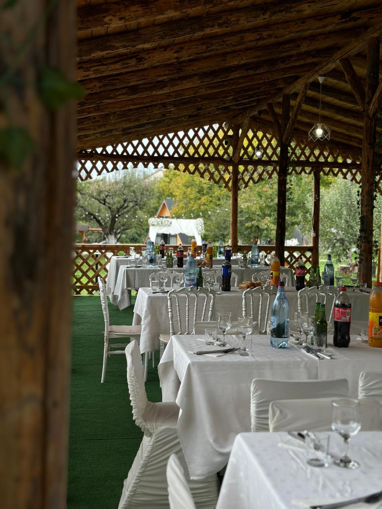 Hotel The Frog Glamping Horezu Esterno foto